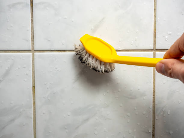 Best Residential Mold Removal  in La Blanca, TX