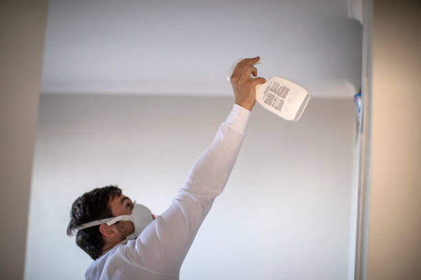 Best Certified Mold Removal  in La Blanca, TX